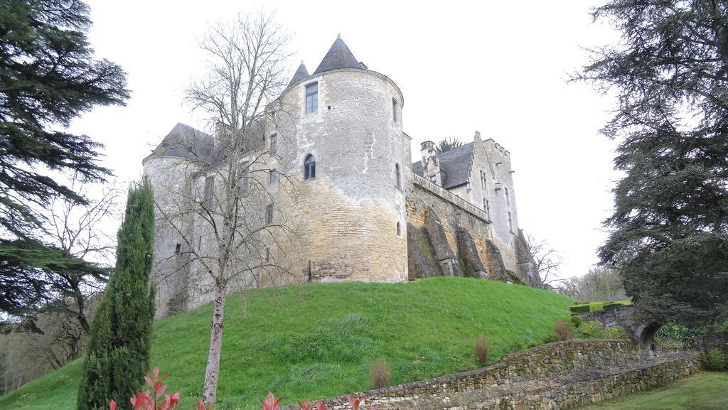 Terre D'Histoire - Baignade - Canoe - Piste Cyclable A 100 M Castelnaud La Chapelle Bagian luar foto